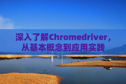 深入了解Chromedriver,从基本概念到应用实践 深入了解Chromedriver,从基本概念到应用实践